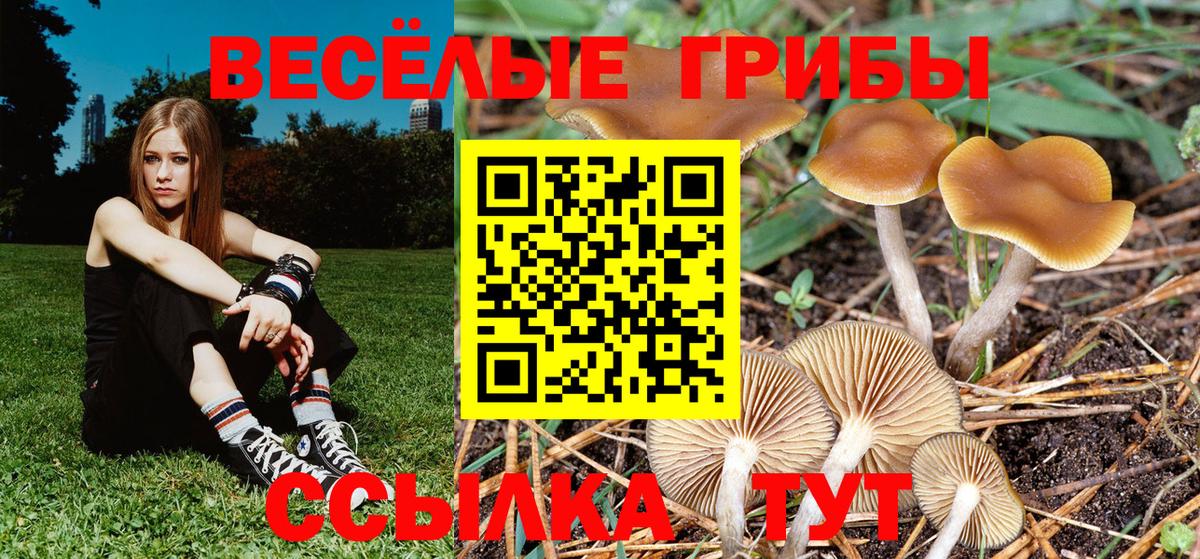 MDMA  Вход с VPN  Меф   МАРИХУАНА  Гашиш  Минусинск  Марихуана  LSD-25 